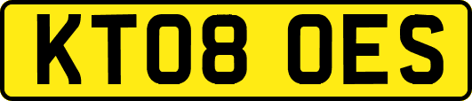 KT08OES