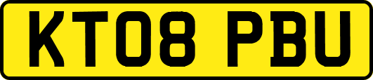 KT08PBU