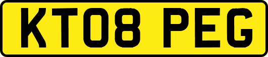 KT08PEG