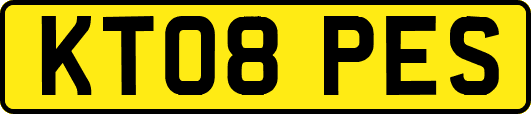 KT08PES