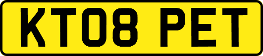 KT08PET