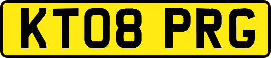 KT08PRG