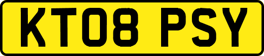 KT08PSY