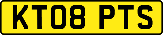 KT08PTS