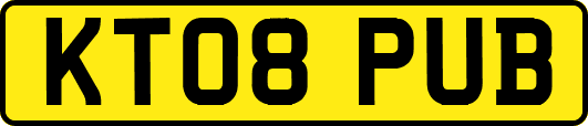 KT08PUB