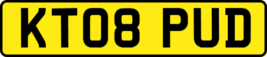 KT08PUD