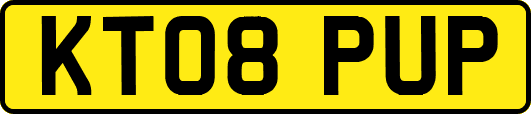 KT08PUP