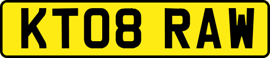 KT08RAW