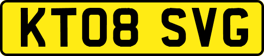 KT08SVG
