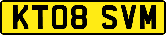 KT08SVM