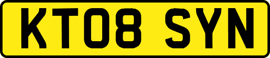 KT08SYN