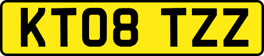 KT08TZZ