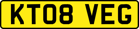 KT08VEG