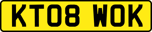 KT08WOK
