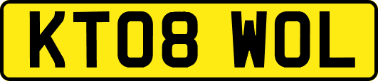 KT08WOL