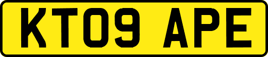 KT09APE