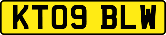 KT09BLW