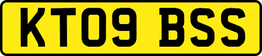 KT09BSS
