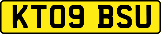 KT09BSU