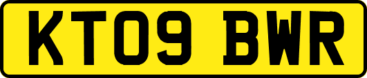 KT09BWR
