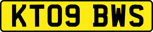 KT09BWS