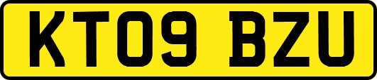 KT09BZU
