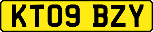 KT09BZY
