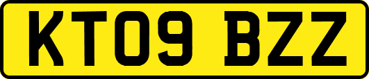 KT09BZZ