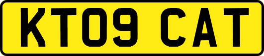 KT09CAT