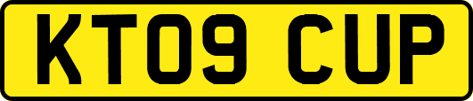 KT09CUP