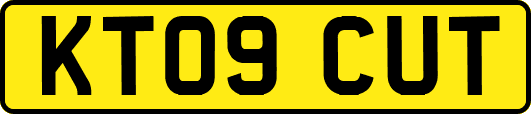 KT09CUT