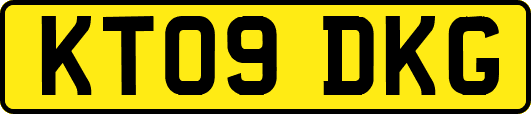 KT09DKG