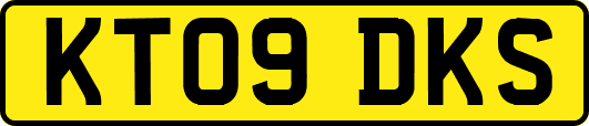 KT09DKS