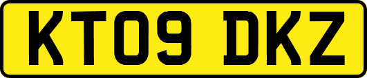 KT09DKZ