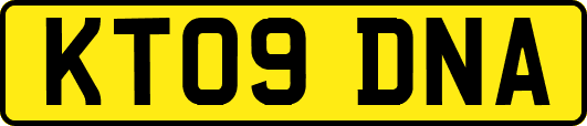 KT09DNA