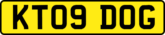KT09DOG