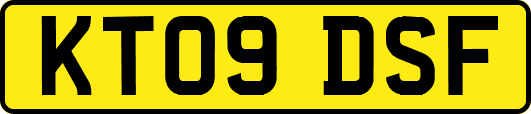 KT09DSF