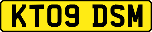 KT09DSM
