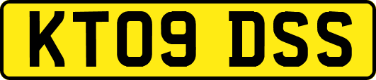 KT09DSS