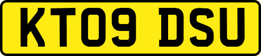 KT09DSU