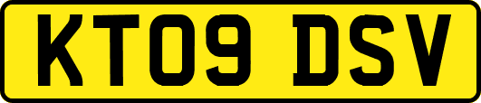 KT09DSV
