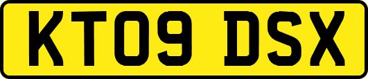 KT09DSX