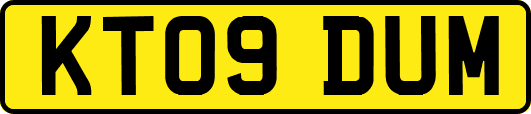 KT09DUM
