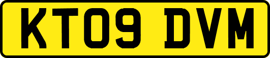KT09DVM