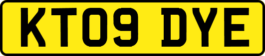KT09DYE