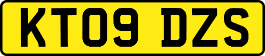 KT09DZS