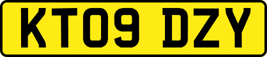 KT09DZY