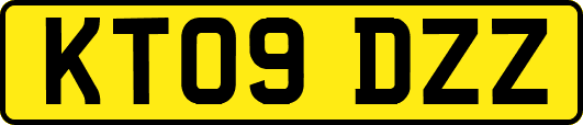 KT09DZZ