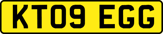 KT09EGG