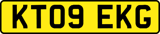 KT09EKG